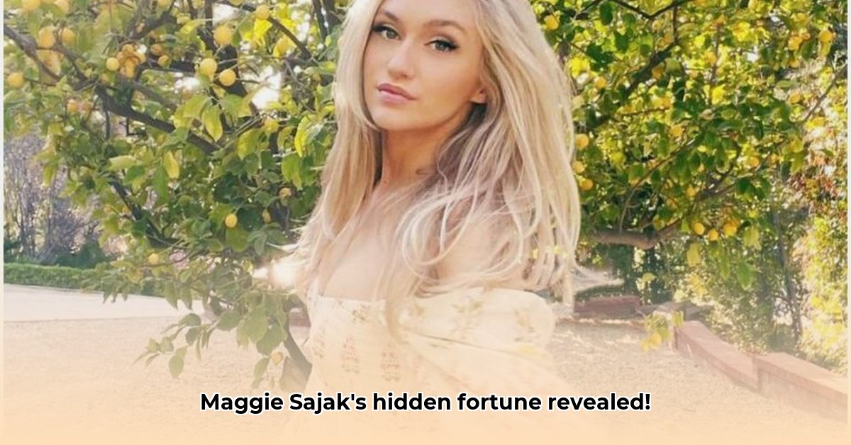 maggie-sajak-net-worth